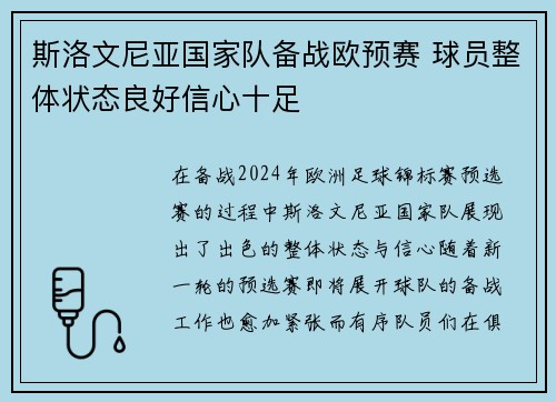 斯洛文尼亚国家队备战欧预赛 球员整体状态良好信心十足