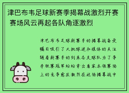 津巴布韦足球新赛季揭幕战激烈开赛 赛场风云再起各队角逐激烈