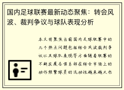 国内足球联赛最新动态聚焦:转会风波、裁判争议与球队表现分析