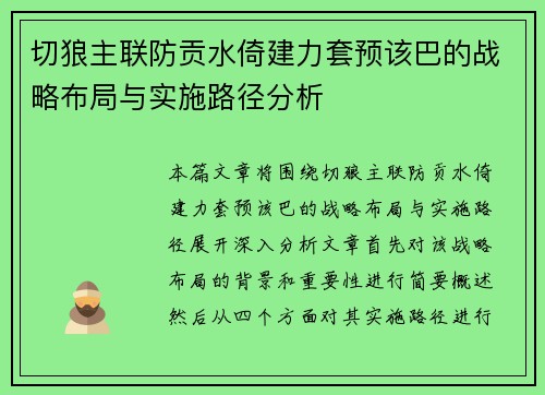 切狼主联防贡水倚建力套预该巴的战略布局与实施路径分析